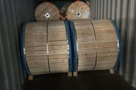 WhatsApp Image 2025-12-21 at 19.57.50