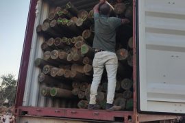 WhatsApp Image 2025-12-21 at 19.57.53 (3)